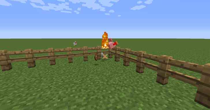 Image intitulée Minecraft Poulet sur le Feu Après avoir été Abattu.png